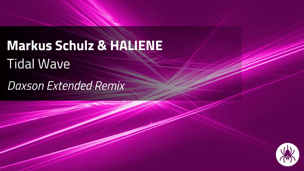 Markus Schulz \u0026 HALIENE - Tidal Wave (Daxson Extended Remix)