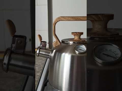 Чайник Orion со свистком и термометром Стальной 3.2 л (8592381194741) фото от покупателей 3