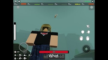 I DEFEATED A HACKER IN ROGUE DEMON