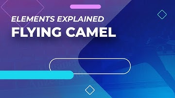 Flying Camel - Elements Explained | #FigureSkating