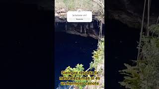 Hermoso Cenote Cerca Del Pueblo San Isidro Ochil