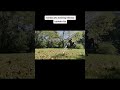 Martial arts/fitness update clip