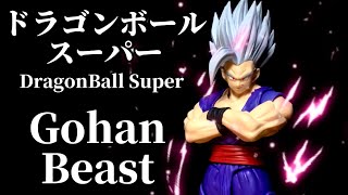 Gohan Beast Form - SH Figuarts - Figure Review (A wee bit of a rant)