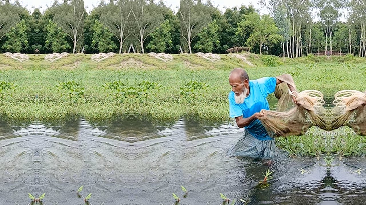 Amazing Net Fishing - Rainy Day Cast Net Fishing - Traditional Village Fish by Hunting Fisherman