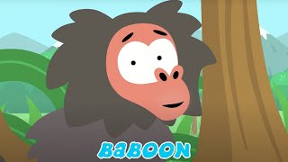 BABOON 🦍🐒 Nursery Songs For Kids 😸 Meow Meow Kitty Song