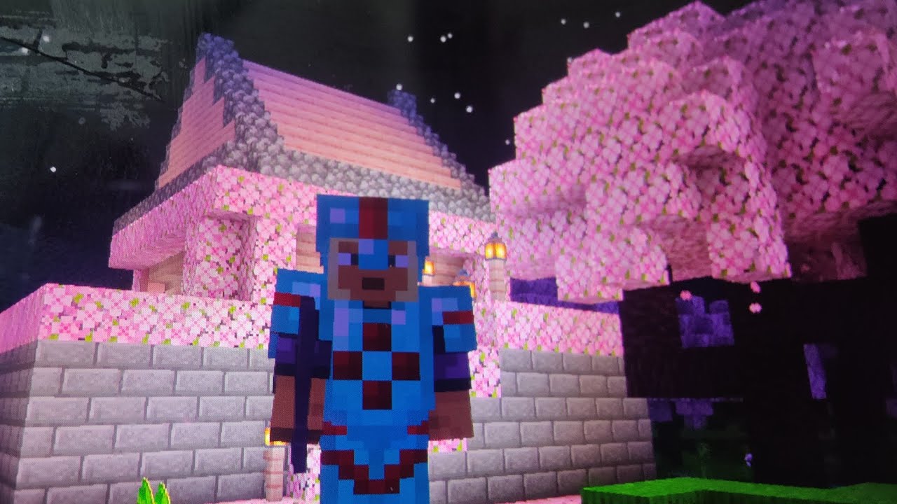 my survival world in Minecraft first episode - YouTube