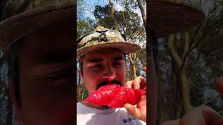 How About Them Pickled Pig Feet outdoors food foodie pigfeet subscribe