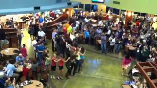Christ Fellowship Flash Mob