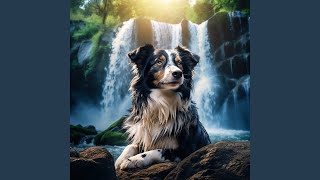 Fireside Zen Pet Serenity
