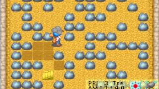 harvest moon#2 br screenshot 5