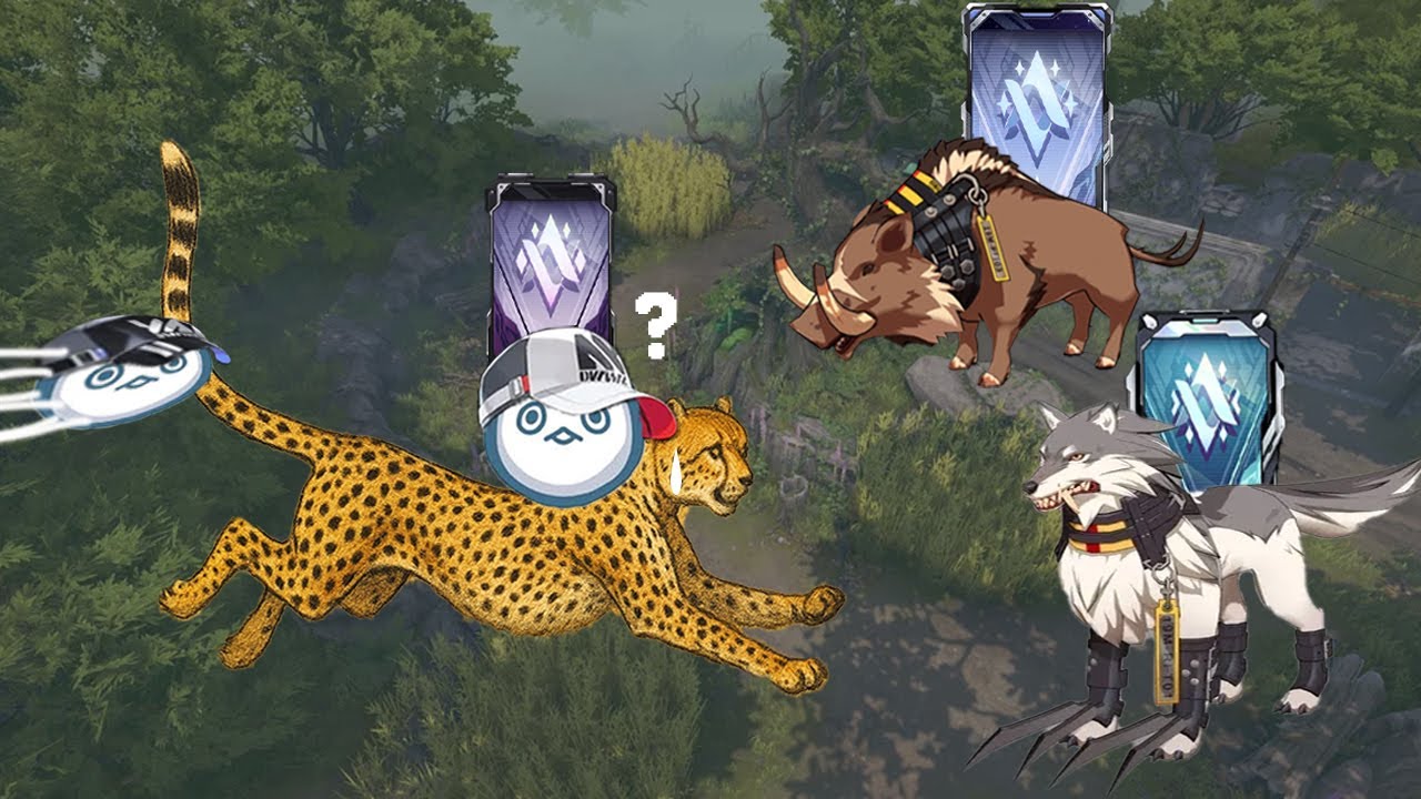 치타는 달린ㄷ... 어라?