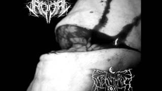 Misanthrop  Verlorene Seele 2014