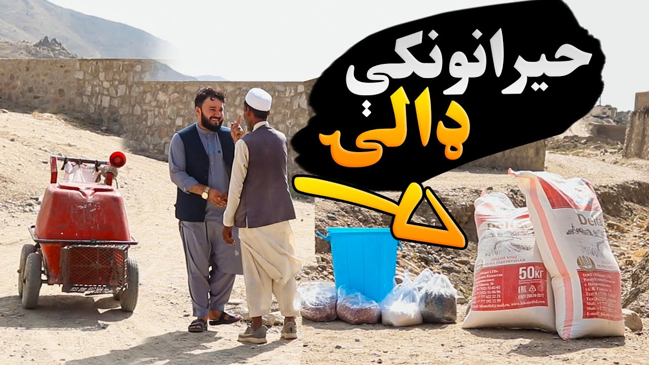 حیرانونکې ډالۍ 🎁