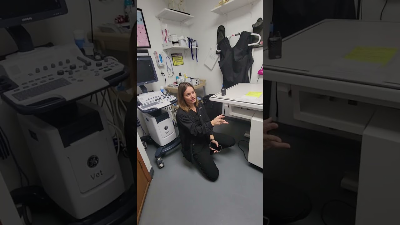 troubleshooting xray machine