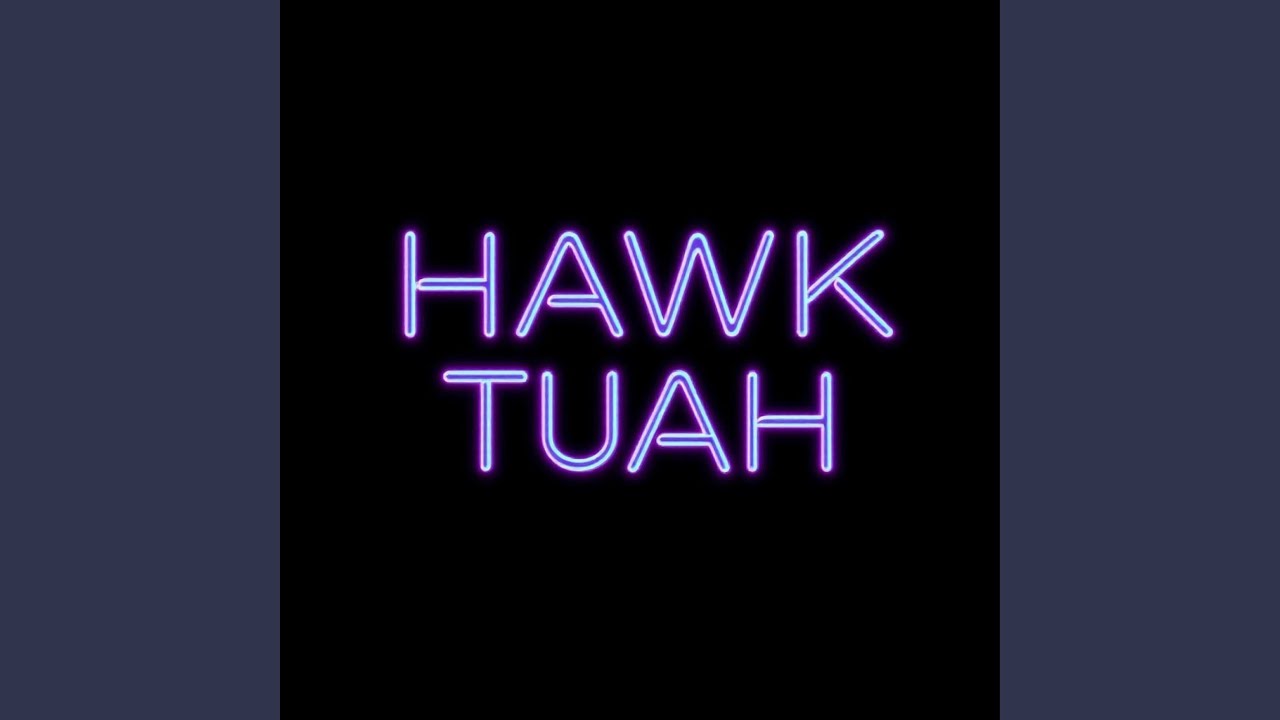 HAWK TUAH (feat. fewtile)