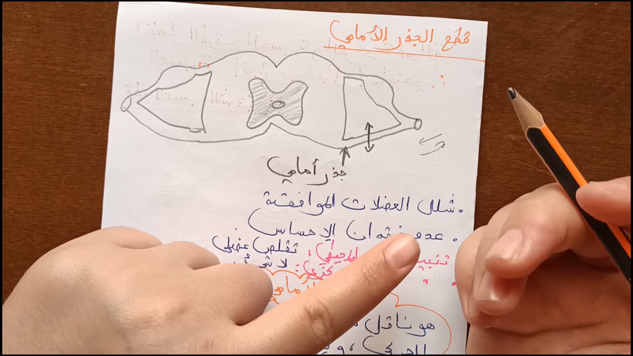 ثانية ثانوي الدرس الثاني (جزء الثاني): تجارب بال و ماجندي💪