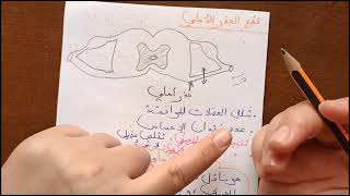 ثانية ثانوي الدرس الثاني (جزء الثاني): تجارب بال و ماجندي💪