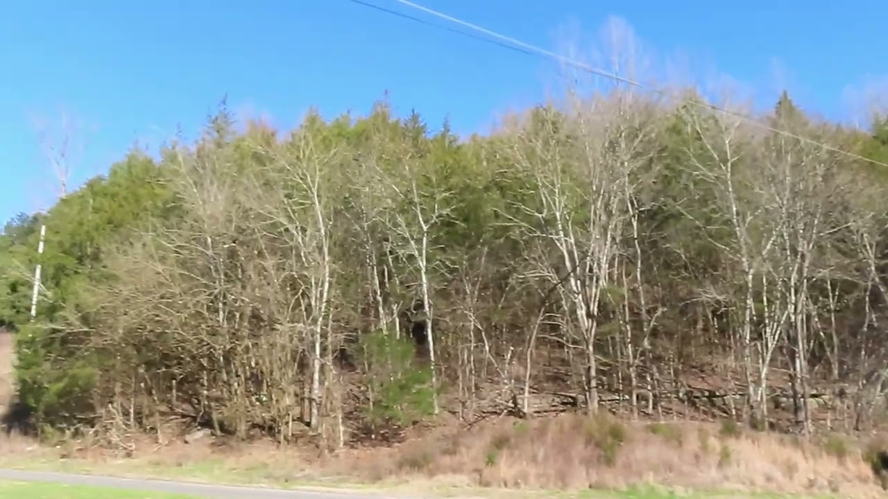 Тест здравого смысла для меткого стрелка