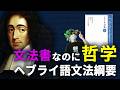 品詞はすべて名詞である。スピノザの異様な思想を紹介します。