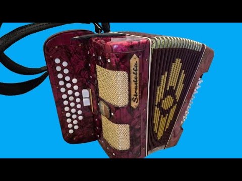 Italian accordion, C major, 2 registers. 👍