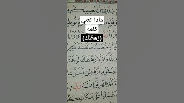 سورة هود الآية "91 "