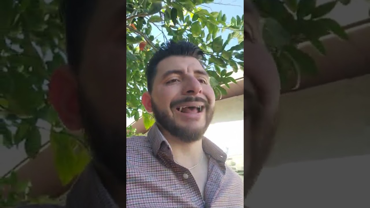 Feature that distinguishes the Comanche bows from others.