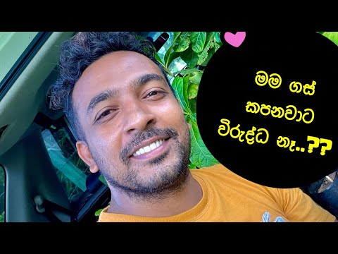 ගස් කපනවාට විරුද්ධ නැති මං.