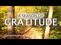 #LiveWholeHealth: A season of gratitude