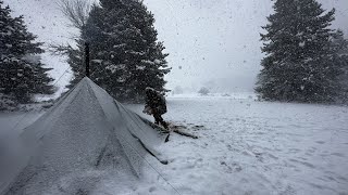 Caught in a Storm  Winter Camping in a Snowstorm with Dogs, Snow, Windy, Bad Weather
