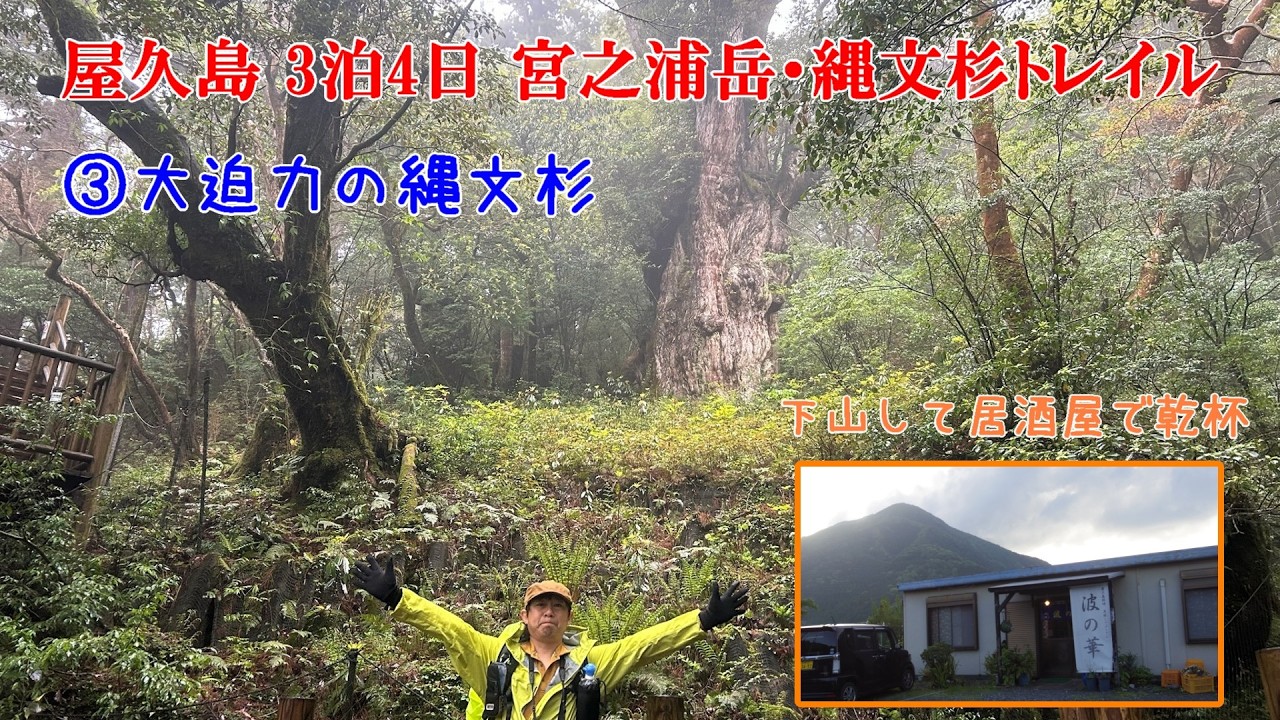 ③屋久島 3泊4日宮之浦岳と縄文杉トレイル