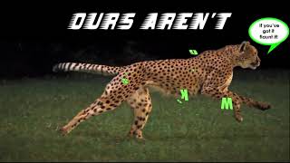 Web Design in York by York Web Design