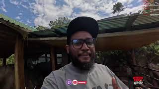 IRL Streaming Mwanza Solo Live Streaming Part 02