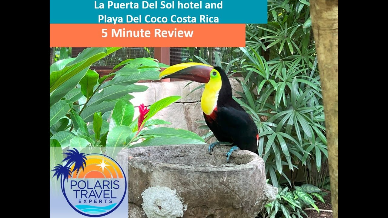 Playa Del Coco Costa Rica and Hotel La Puerta Del Sol 5 Minute Review