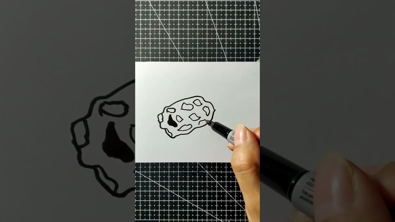 This is My Quick Drawing of Tigernut