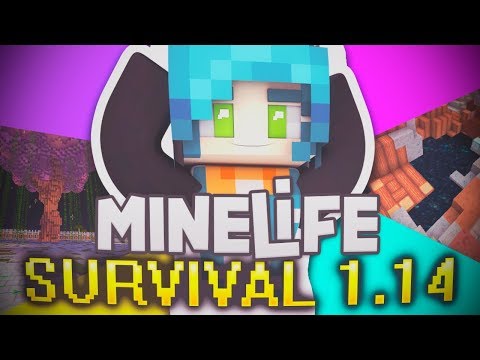 MINECRAFT SURVIVAL 1.14.2 ~ MINELIFE 💙 SUS NUEVOS CRAFTEOS Y BUSQUEMOS AL PANDA 🐼 KAWAII rpg games meaning