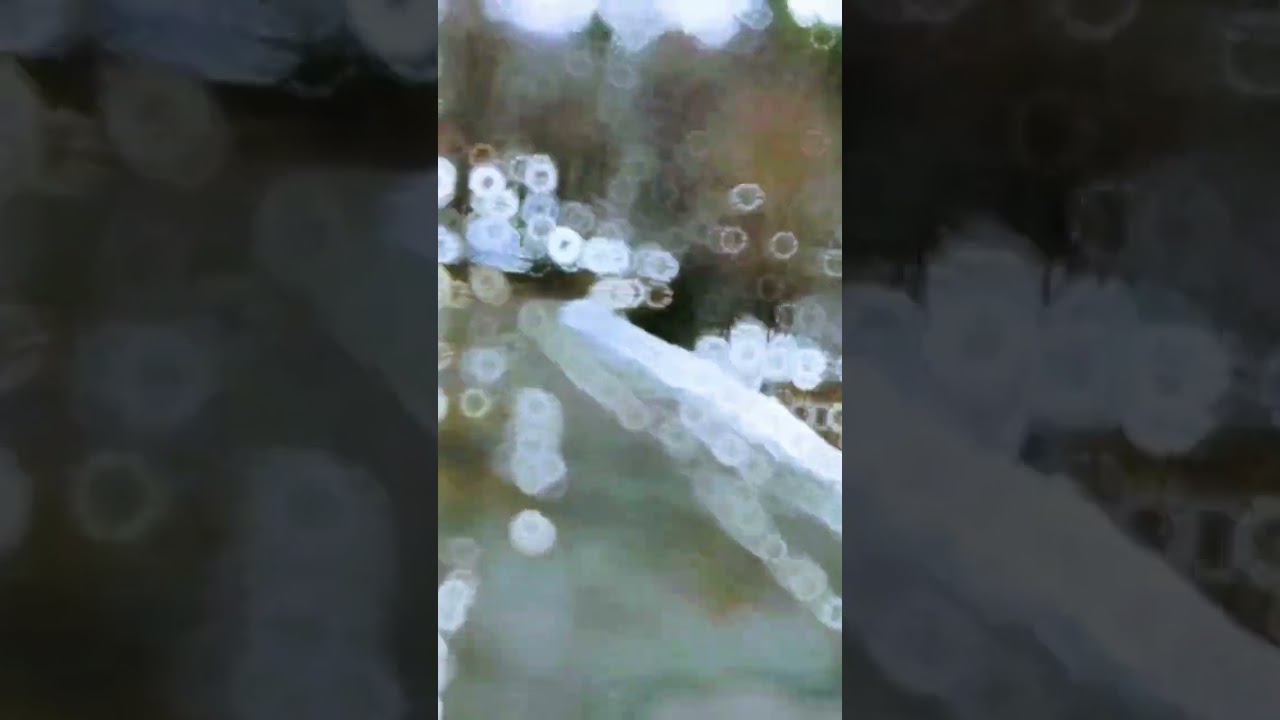 I Found a Magical Snow Village in the Himalayas