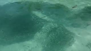 Secret Paradise Maldives
