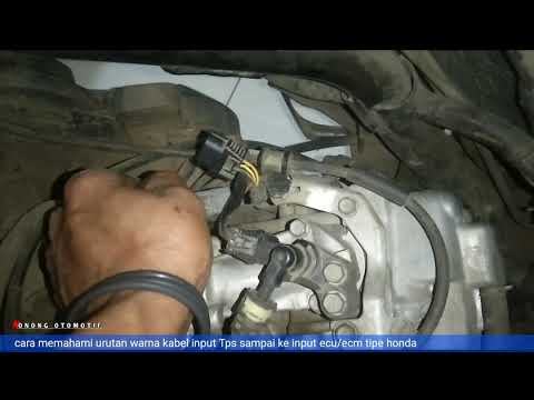 Memahami jalur kabel input Tps honda sampai input ecu/ecm