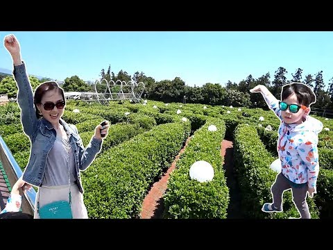 뉴욕이 뉴맘 VS 뉴파 미로 탈출 가족 대결 놀이 제주도 동화속으로 미로공원 Maze Park Escape 뉴욕이랑 놀자 NY Toys