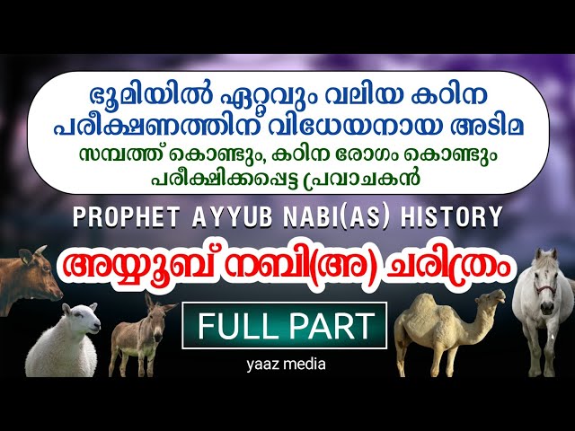 അയ്യൂബ് നബി(അ) ചരിത്രം | FULL PART | Prophet Ayyub Nabi (as) History Malayalam | YAAZ MEDIA class=