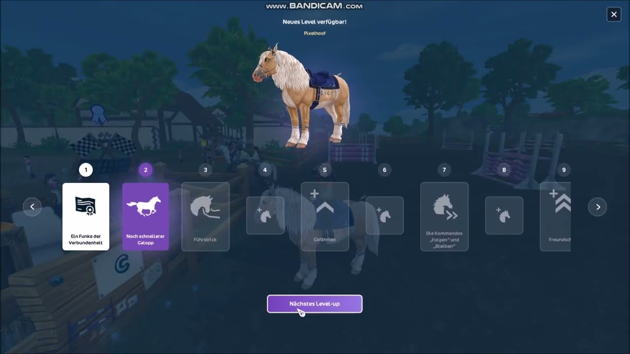 Hilfe von Freunden/ für Freunde// Star Stable Online (sso)