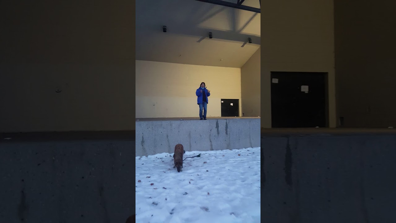 Salsa lesson on a winter day Calgary