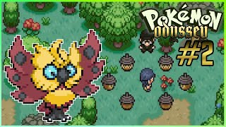 Seedot Goes Boom - #2 - Pokemon Odyssey