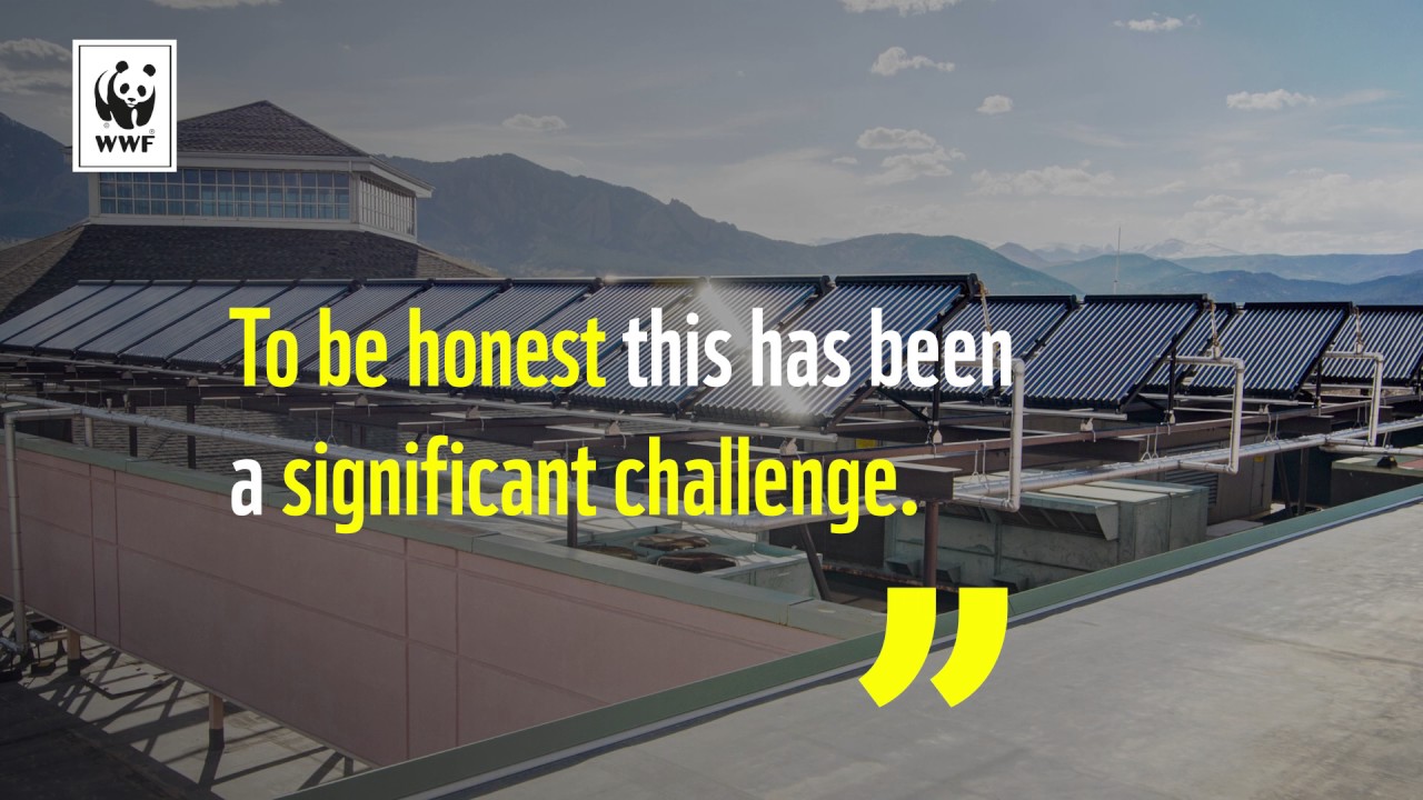 City Share – Boulder, USA