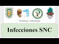 INFECCIONES SNC: MENINGITIS Y ENCEFALITIS - NEUROLOGIA