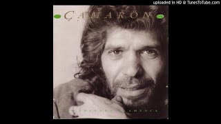 Camarón de la Isla - 12. Soy Gitano