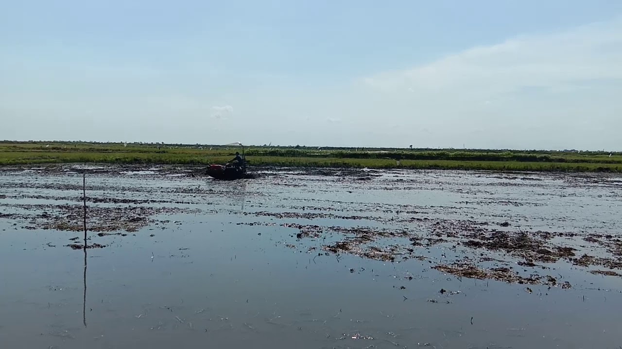 Traktor Rawa - Traktor Sawah Lumpur Dalam - YouTube