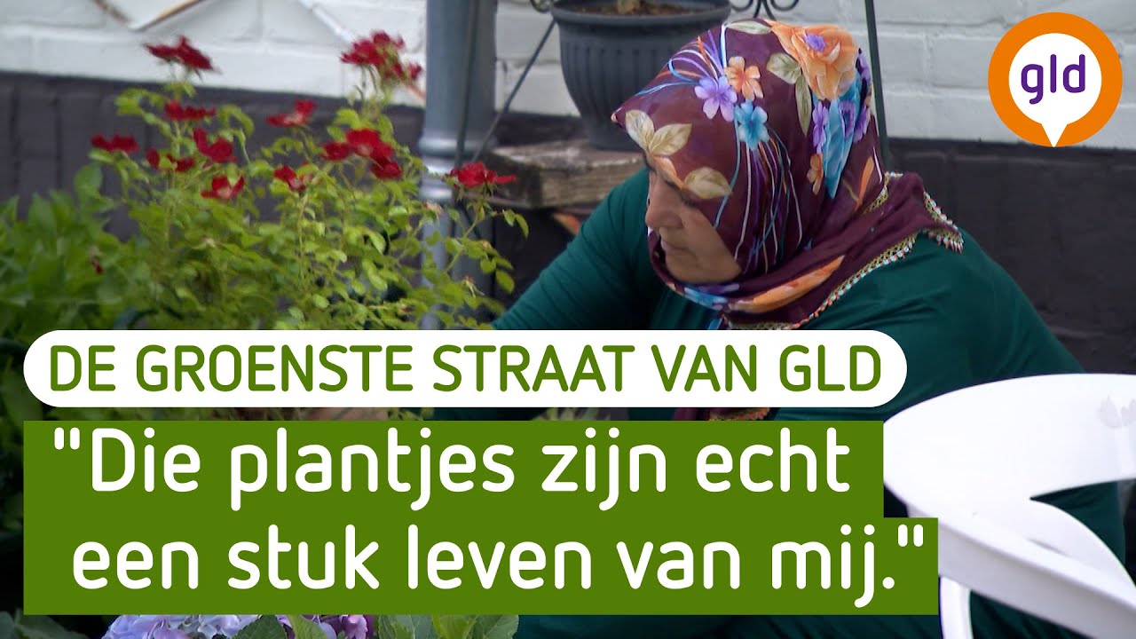 Het gaat met pallets tegelijk in Arnhem De Groenste Straat van