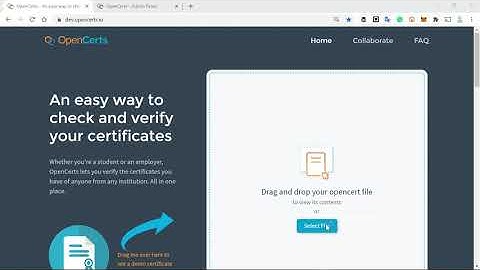 Part 2 - What Happens When An OpenCerts Credential Is Invalid, Tampered Or Revoked (IBS, 2020)