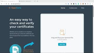 Part 2 - What Happens When An Opencerts Credential Is Invalid, Tampered Or Revoked Ibs, 2020